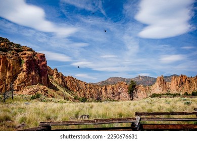 Clouds and a hawk over the valley at Smith Rock State Park in Oregon