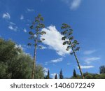 The clouds with the help of the wind often change their shapes always changing the view of a landscape / Cloudy landscape