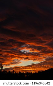 Clouds Lit Orange By Sunset, Gradient From Darker To Brighter. Hole Punch Cloud With Blue Sky.