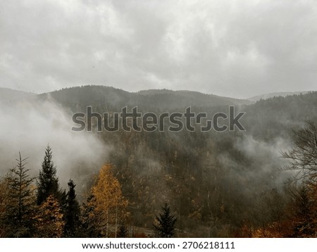 Clouds and mist in the Black Forest, Germany