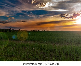 Clouds in the orange rays of the sunset over a green farm field. Sunny sunset. Blue sky with clouds. Cloudy horizon. Evening twilight. Agriculture. Farm field. Morning sunrise. Natural landscape.