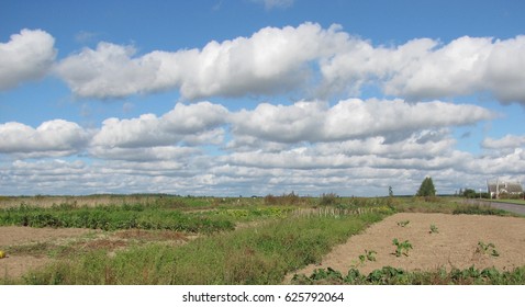 Clouds over the field
