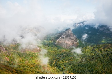 clouds over the forest in the mountains