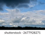 Clouds over the forest in summer