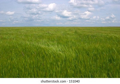 Clouds over Green Field