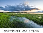 Clouds over the marsh in eastern North Carolina