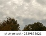 Clouds over the trees on a cold fall morning 