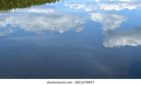 clouds reflect on the still surface of the lake water while a bug does circles boundary waters canoe area wilderness northern Minnesota 