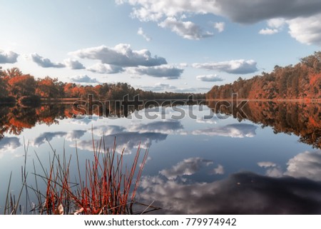 Clouds are reflecting in the surface of Batsto Lake #newjersey #pinebarrens #ilovelakes #whartonstateforrest #landscapes