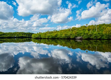 Loxahatchee Images, Stock Photos & Vectors | Shutterstock