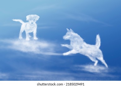 Clouds in the shape of dogs