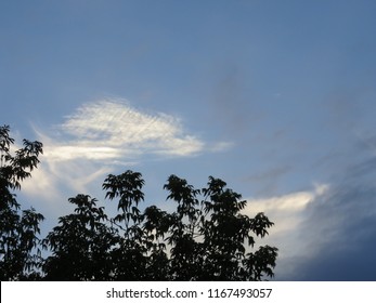 clouds in the sky behind trees