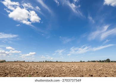 clouds, sky, clear, summer, spring, limpid, blue, light, white, cumulus