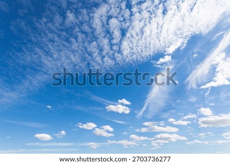 clouds, sky, clear, summer, spring, limpid, blue, light, white, cumulus