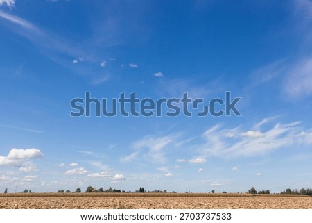 clouds, sky, clear, summer, spring, limpid, blue, light, white, cumulus