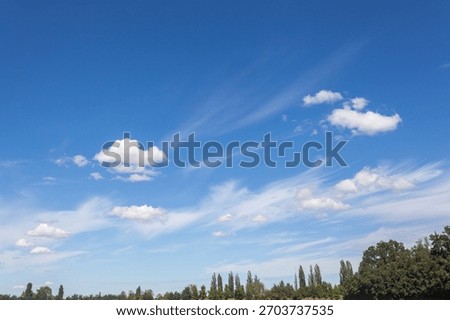 clouds, sky, clear, summer, spring, limpid, blue, light, white, cumulus