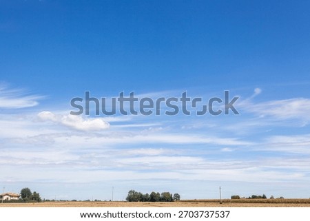 clouds, sky, clear, summer, spring, limpid, blue, light, white, cumulus