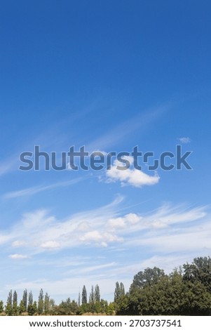 clouds, sky, clear, summer, spring, limpid, blue, light, white, cumulus