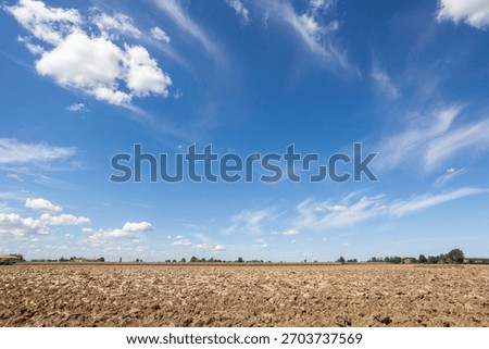 clouds, sky, clear, summer, spring, limpid, blue, light, white, cumulus