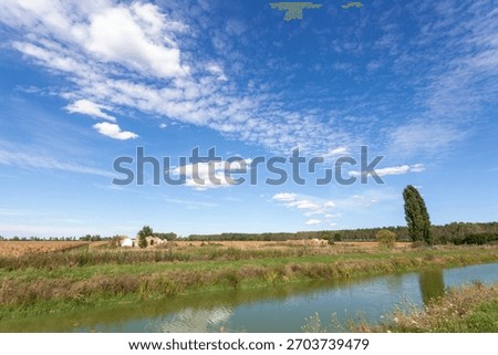 clouds, sky, clear, summer, spring, limpid, blue, light, white, cumulus
