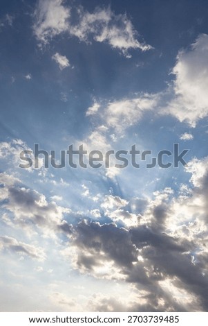 clouds, sky, clear, summer, spring, limpid, blue, light, white, cumulus
