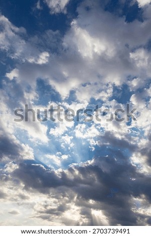 clouds, sky, clear, summer, spring, limpid, blue, light, white, cumulus
