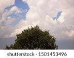 Clouds with some trees arround