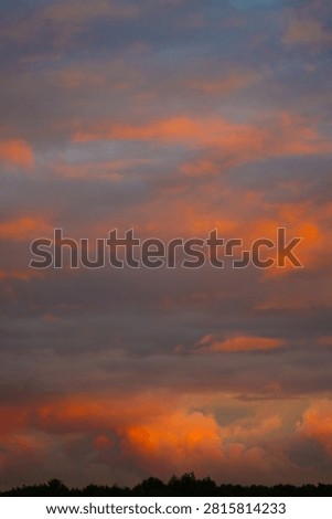 Clouds at sunset over the forest in summer