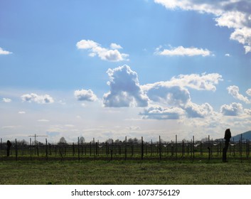Clouds and sunshines