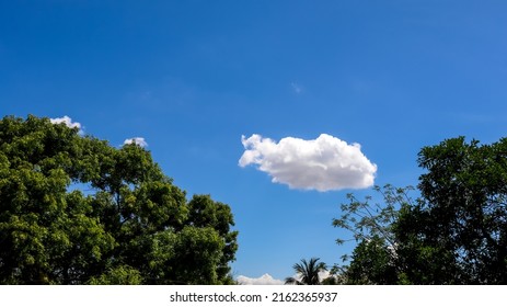 Clouds Surrounded Sky With Backdrop Of Tress. Nature Background.