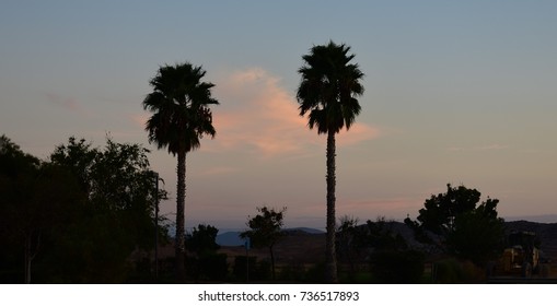 clouds through the palms