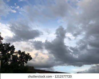 Clouds And Tree Sillhouette