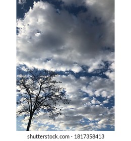 Clouds and tree in the sky