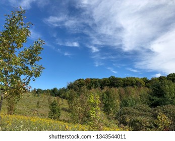 Clouds with trees