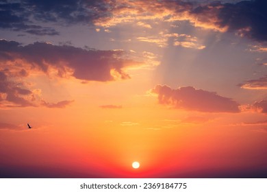 Cloudscape and dramatic orange sky, sunset with scenic clouds and flying birds