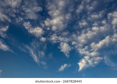 Cloudscape has been developing in gorgeous form. The vast blue sky and clouds sky 
