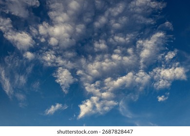 Cloudscape has been developing in gorgeous form. The vast blue sky and clouds sky 