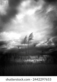 Cloudscape over the fields, black white picture