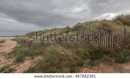 Similar – Image, Stock Photo winter beach Landscape