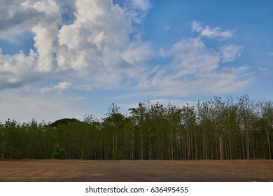 Cloudy and blue sky with the ground and trees in the frame.