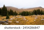 Cloudy Colorado Rocky Mountains along Leadville