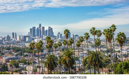 Día nublado del horizonte del centro de Los Ángeles y palmeras en primer plano