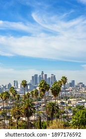Cloudy day of Los Angeles downtown skyline and palm trees in foreground - Shutterstock ID 1897176592