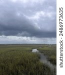 cloudy day at the marsh