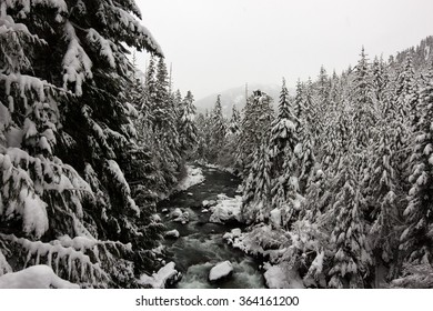 Cloudy Day Over Cheakamus River