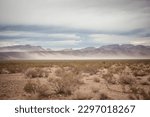 A cloudy day in the rural Nevada desert outside of Las Vegas, with different prairie and desert grasses, bushes, plants, and Joshua Trees.