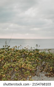 Cloudy Day At Venice Beach, Florida