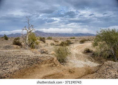 Cloudy Desert Landscape