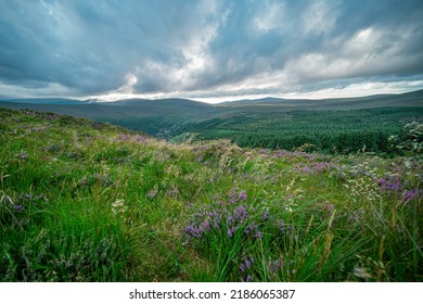 Cloudy Evening Over Lough Tay Lake 