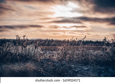 Cloudy Golden Purple Sunset Over Field